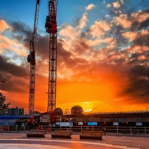 Two cranes backlit by an orange sunrise