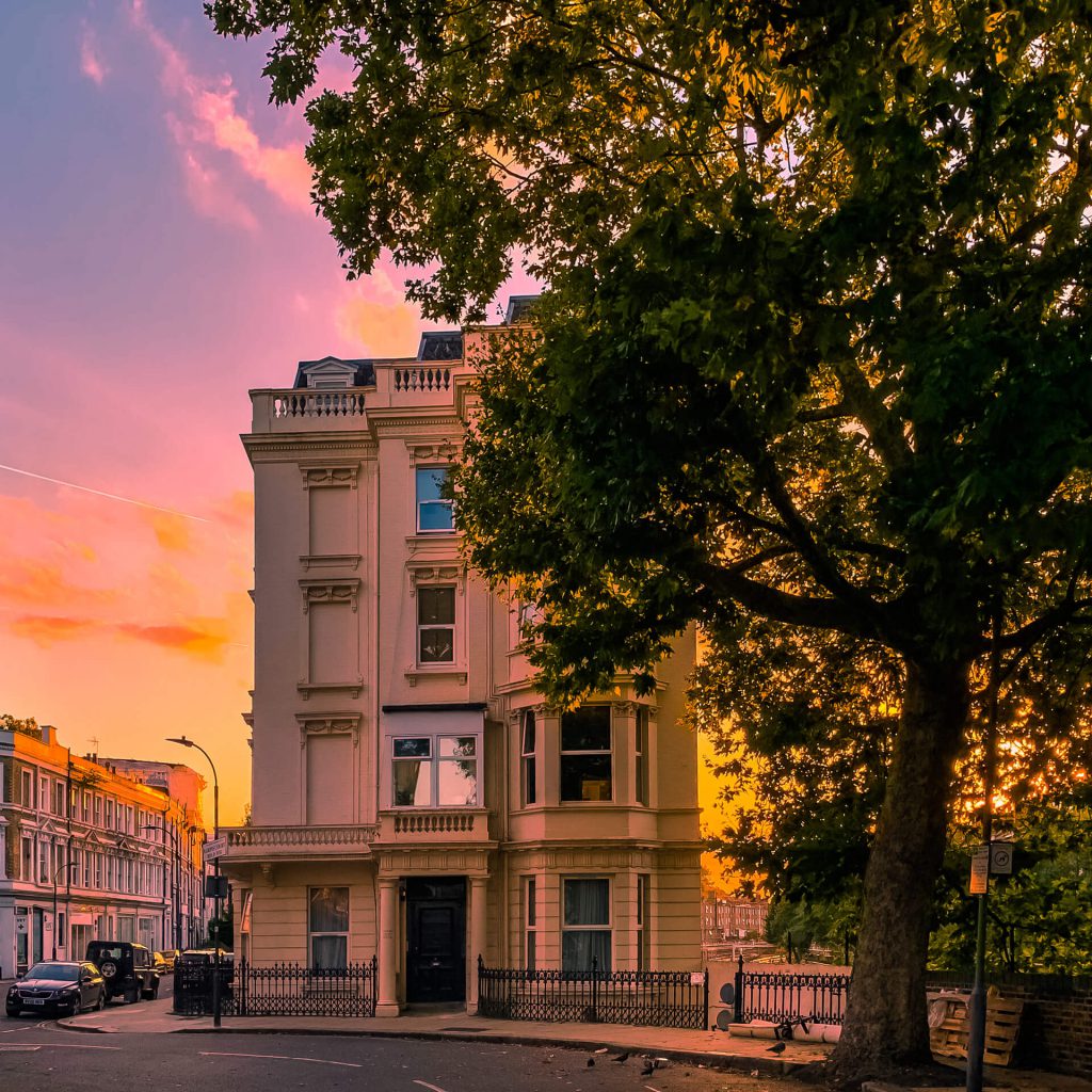 A beautiful white West London house set behind an old tree