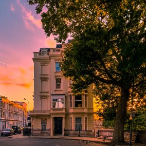 A beautiful white West London house set behind an old tree