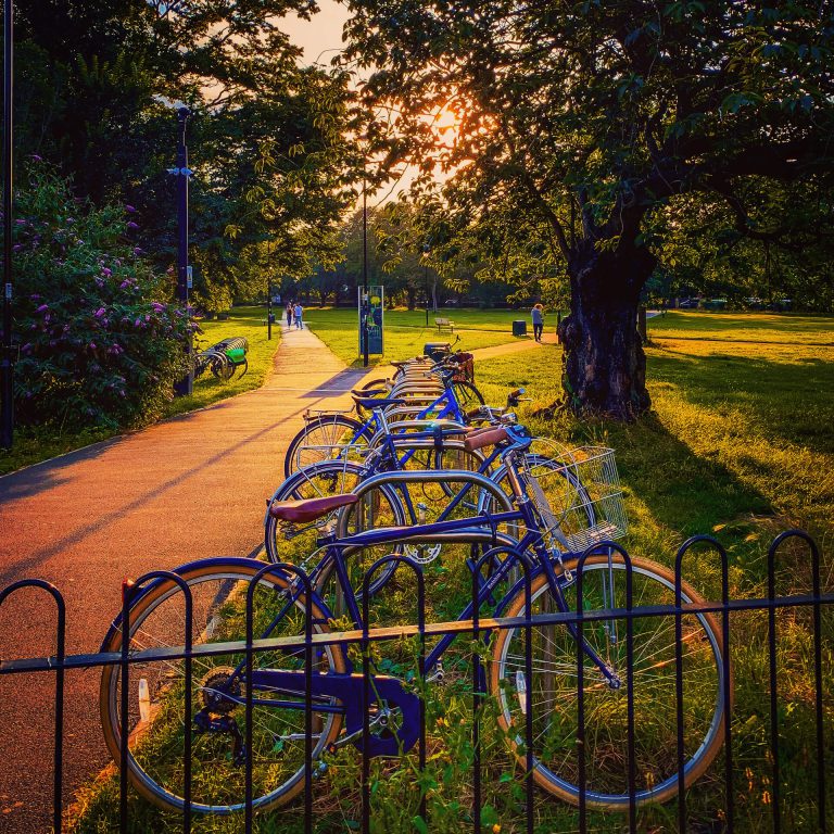 Bicycles propped up against their bike stands in a West London park
