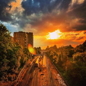 A tube stopping at North Acton station at sunrise