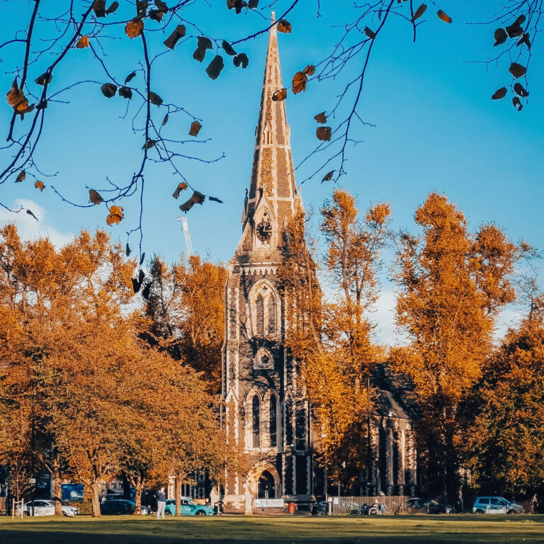 A church steeple rising high in the background behind a line of autumnal trees