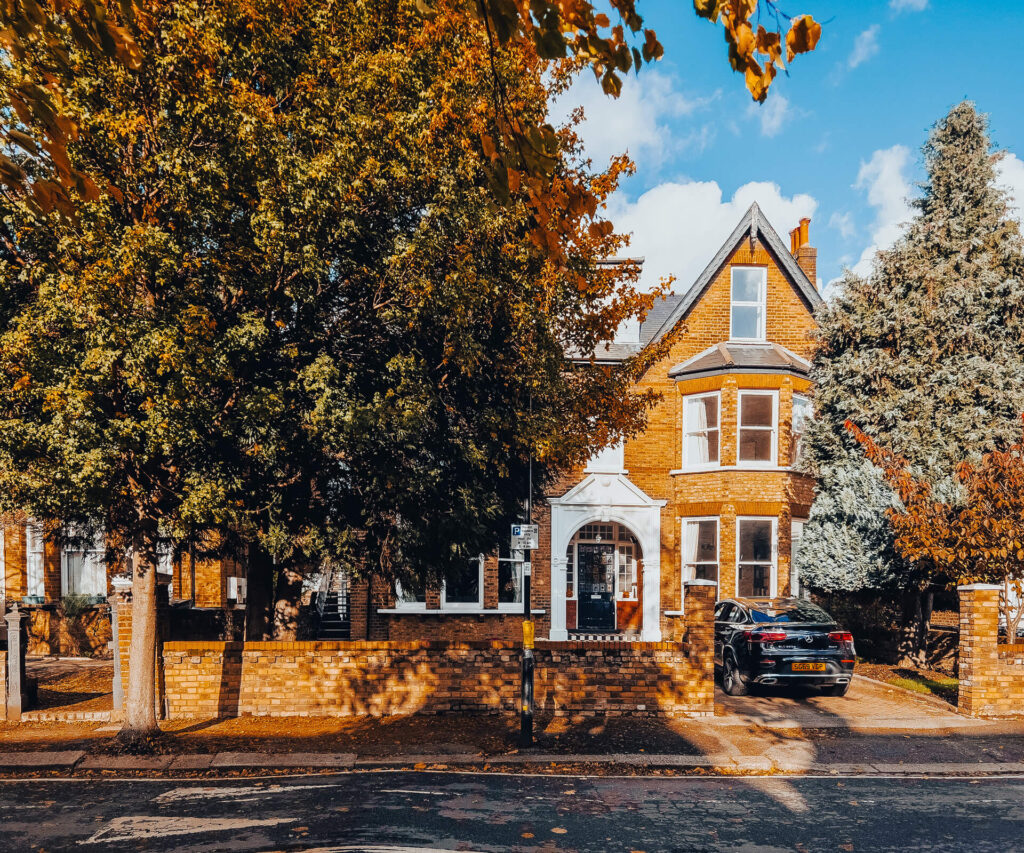 A large tree set in front of a typical W5 house with a car parked in its driveway