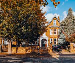 A large tree set in front of a typical W5 house with a car parked in its driveway