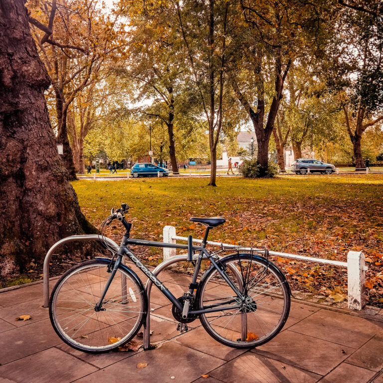 A bicycle propped up in a park set against the backdrop of park in W6 littered with autumn leaves